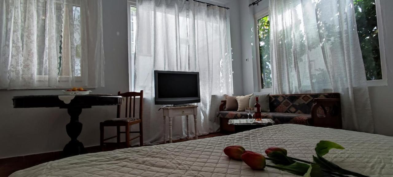 Dream Catcher Studio Skopelos Zewnętrze zdjęcie